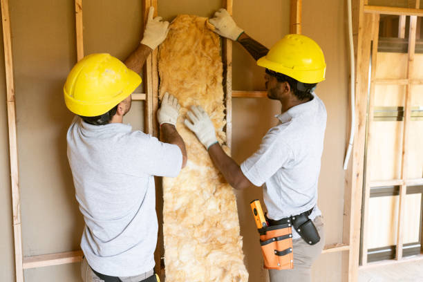 Best Insulation Contractors for Homes  in Somerset, TX